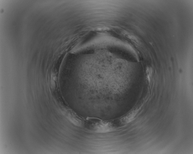 X0000068850235200605081223