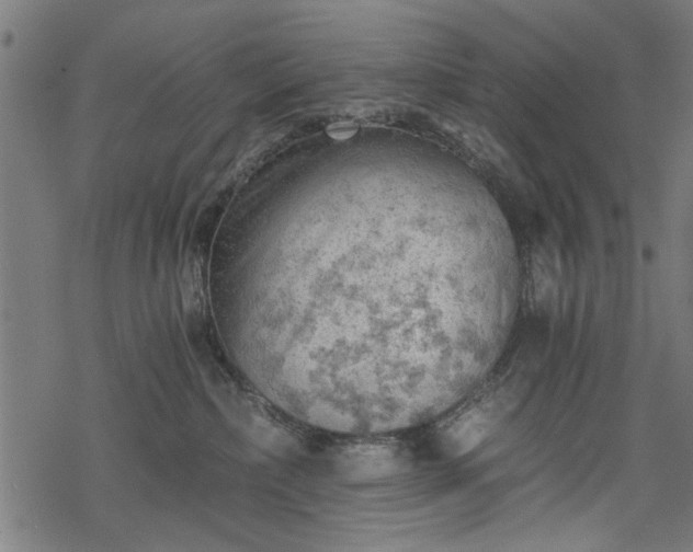 X0000068850236200605081223