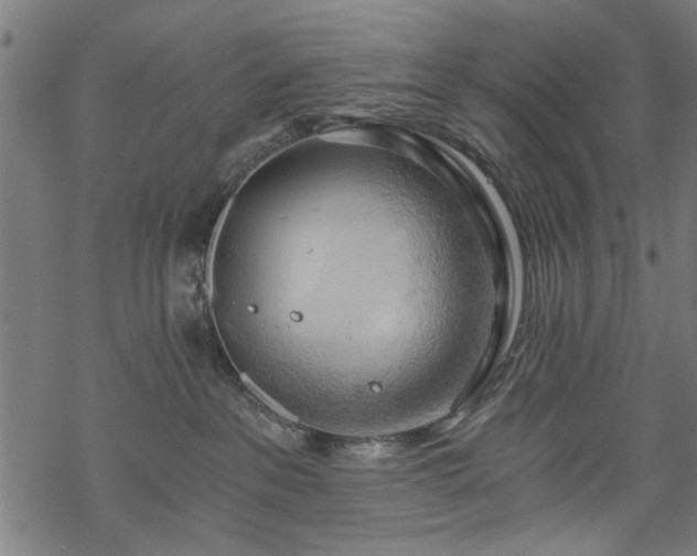 X0000068850237200605081223