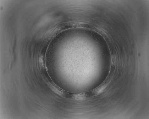 X0000068850238200605081223