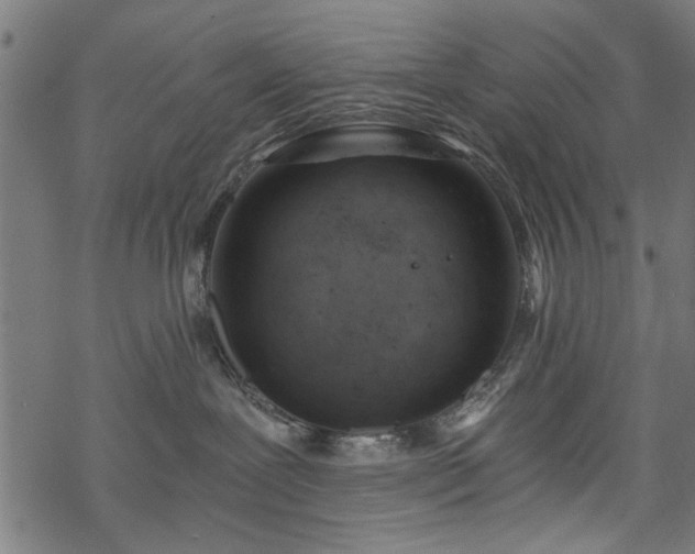 X0000068850239200605081223