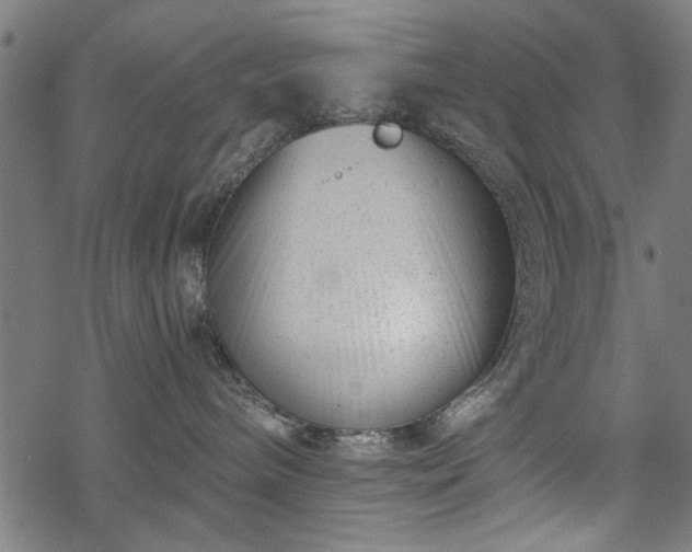 X0000068850240200605081223