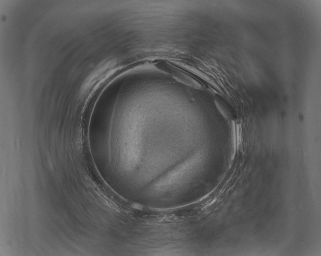 X0000068850243200605081222