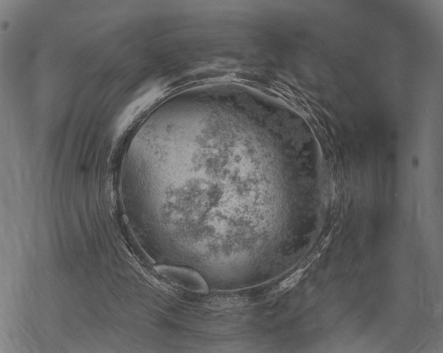 X0000068850245200605081222