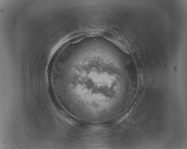 X0000068850246200605081222