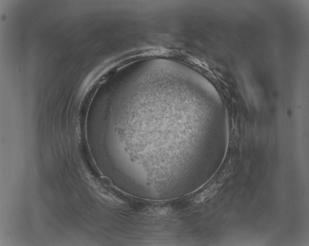 X0000068850247200605081222