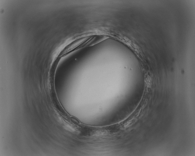 X0000068850248200605081222