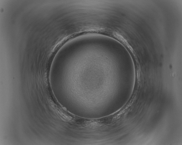 X0000068850249200605081222