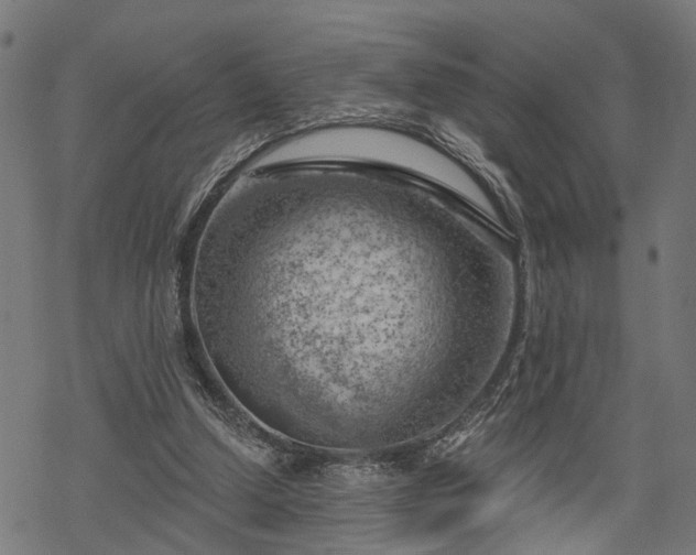 X0000068850250200605081222