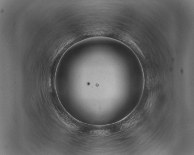 X0000068850251200605081222