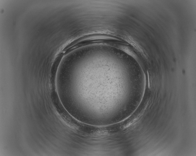 X0000068850252200605081222