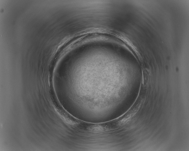 X0000068850253200605081222