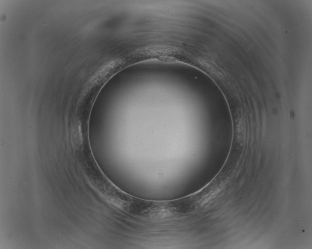 X0000068850254200605081222