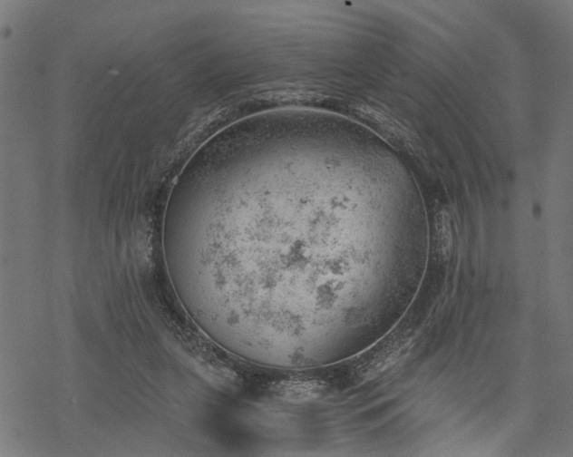 X0000068850255200605081222