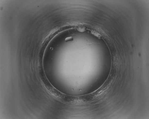 X0000068850256200605081222