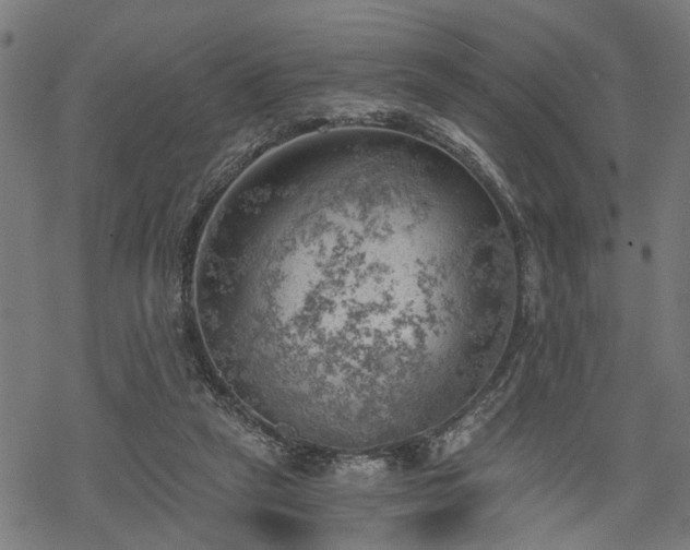 X0000068850257200605081222