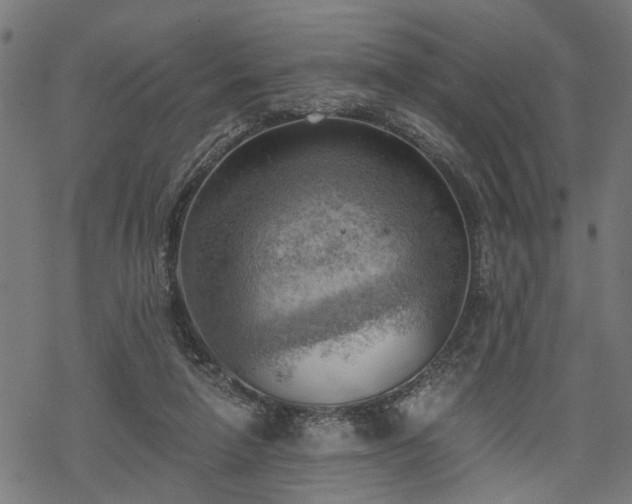 X0000068850258200605081222