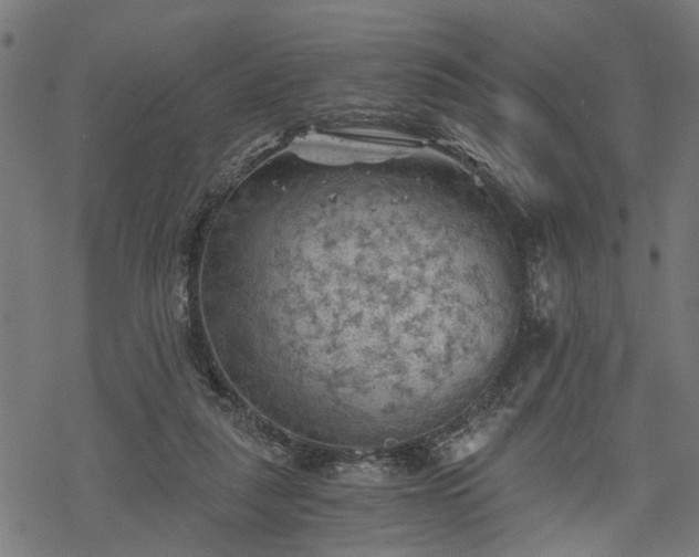 X0000068850259200605081222