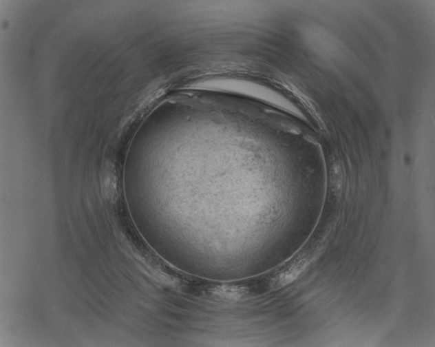 X0000068850261200605081222