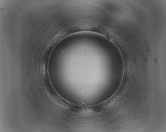 X0000068850262200605081222