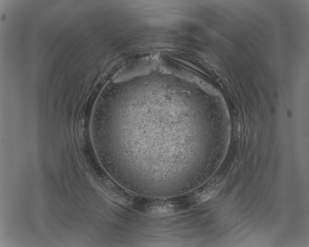 X0000068850263200605081222