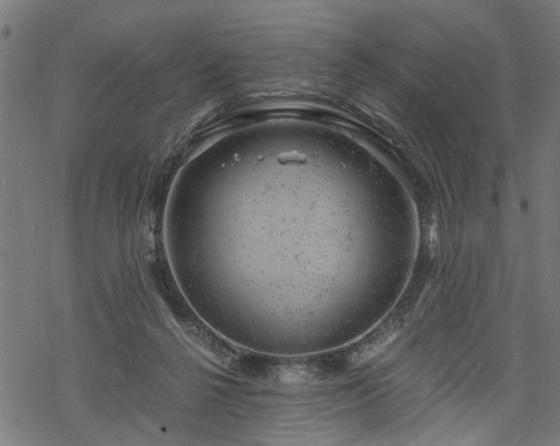 X0000068850264200605081222