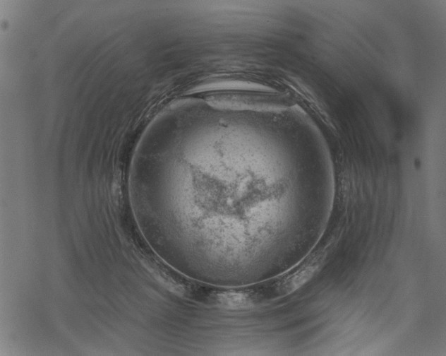 X0000068850265200605081222