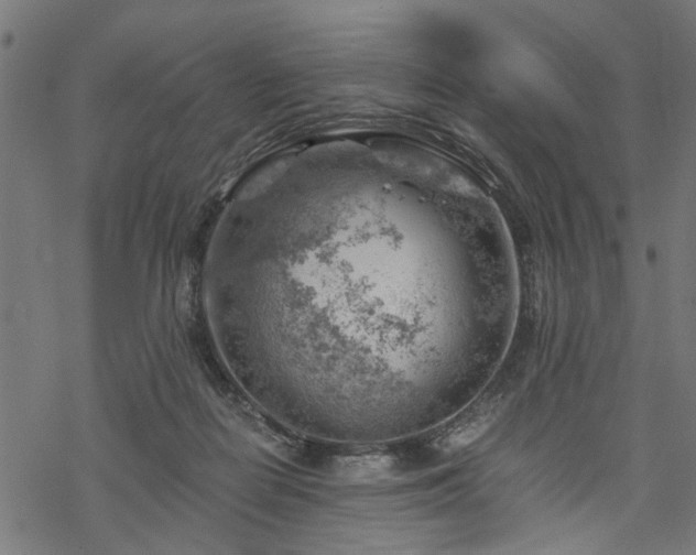 X0000068850266200605081222