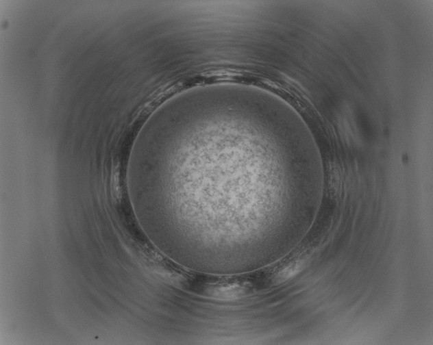 X0000068850267200605081222