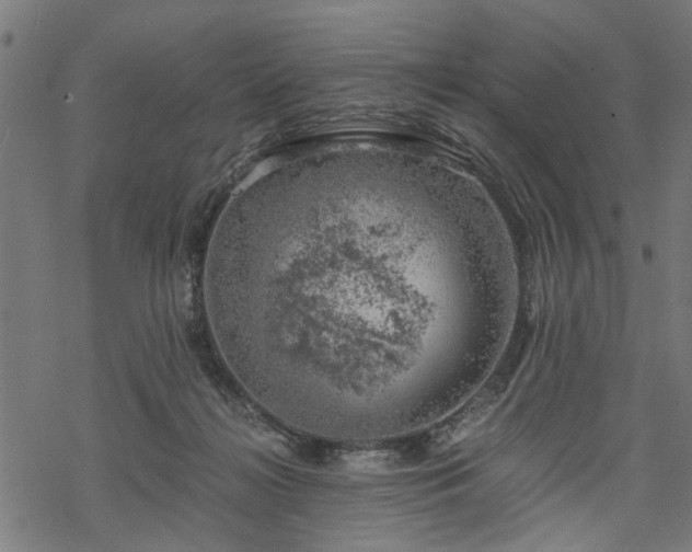 X0000068850268200605081222