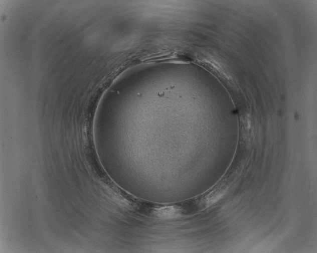 X0000068850269200605081222