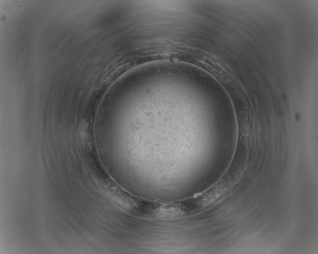 X0000068850270200605081222