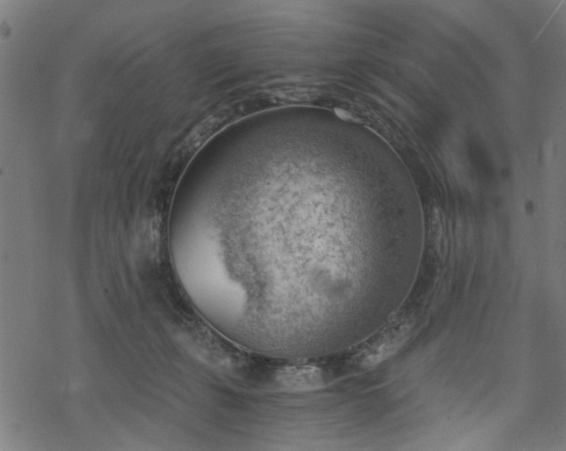 X0000068850271200605081222