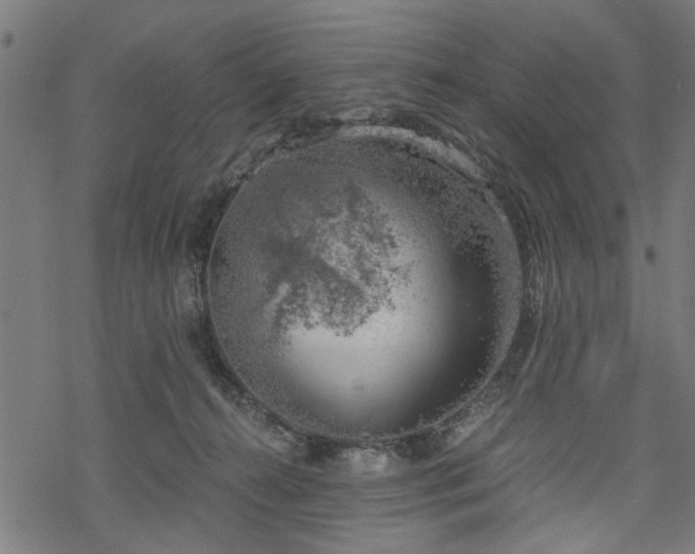 X0000068850272200605081222