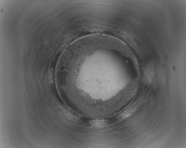 X0000068850273200605081223