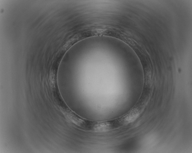 X0000068850274200605081223