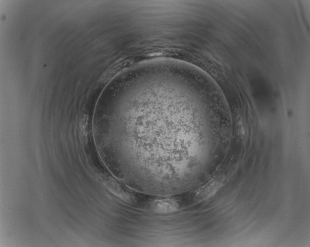 X0000068850275200605081223