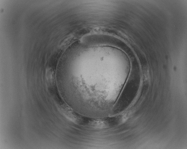 X0000068850276200605081223