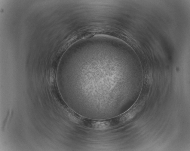 X0000068850277200605081223