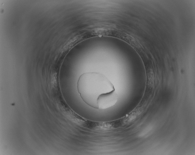 X0000068850278200605081223