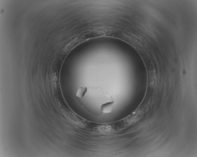 X0000068850279200605081223