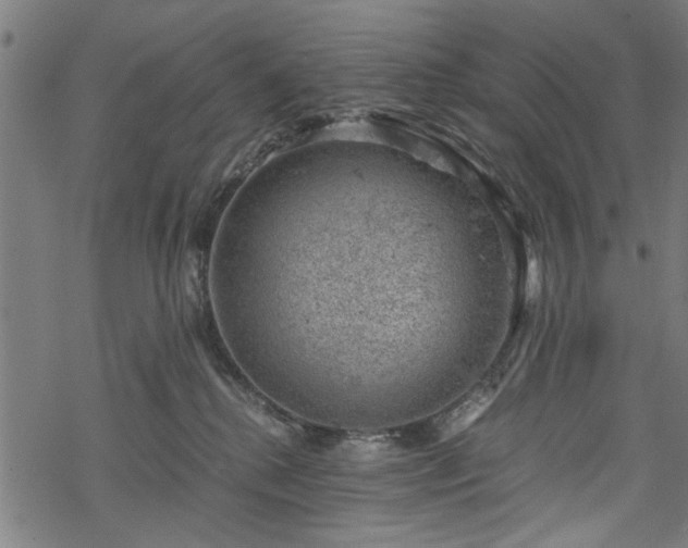 X0000068850280200605081223