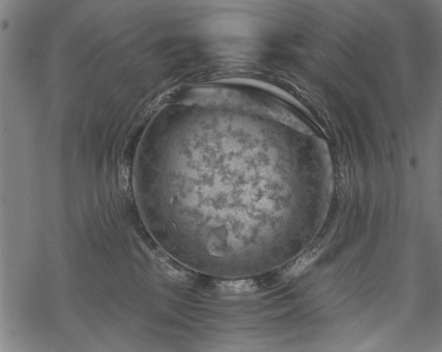 X0000068850281200605081223