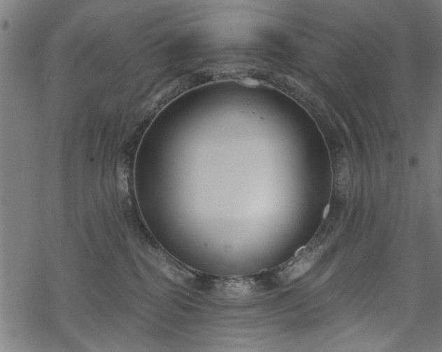 X0000068850282200605081223