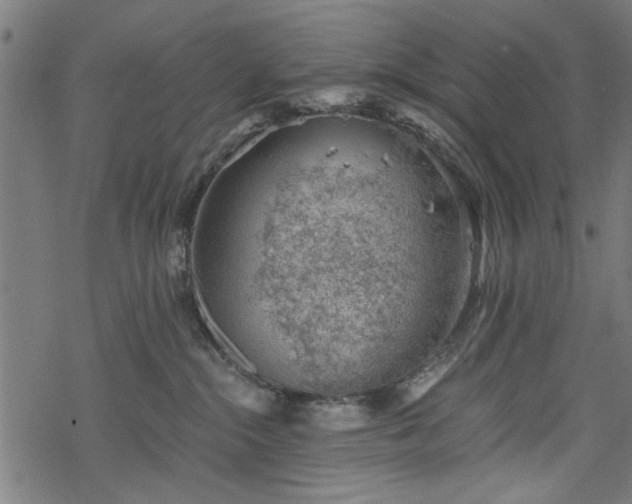 X0000068850284200605081223