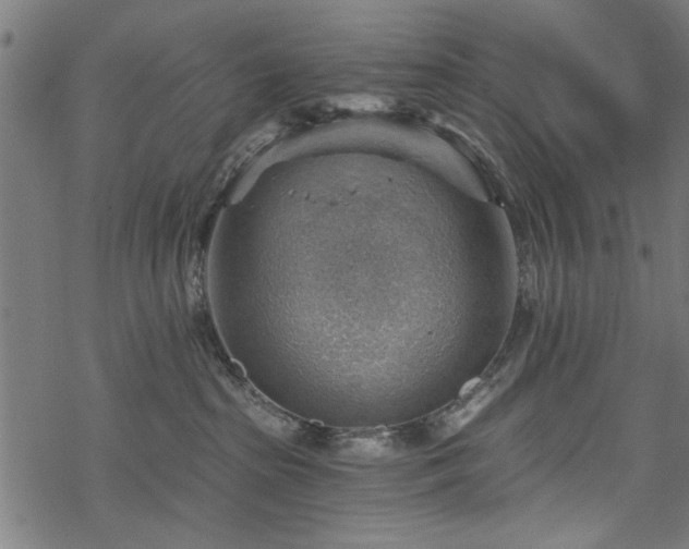 X0000068850285200605081223