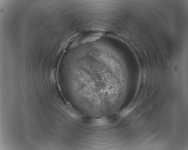 X0000068850286200605081223