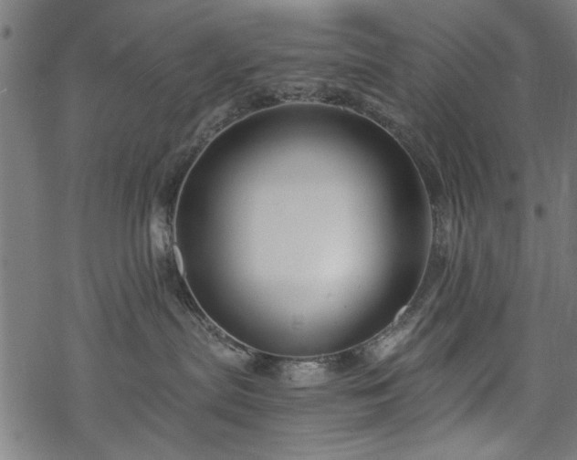 X0000068850287200605081223