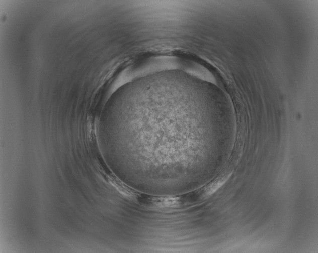 X0000068850288200605081223