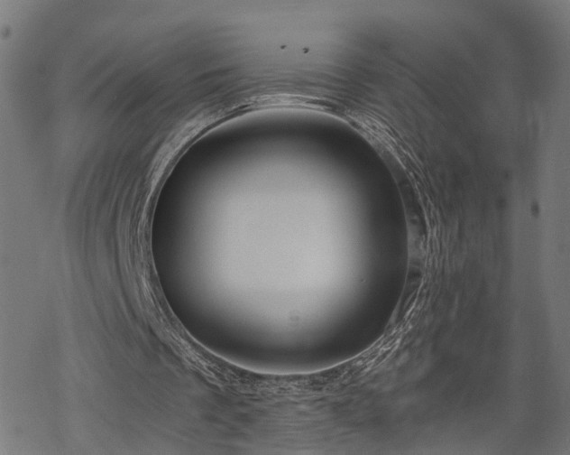 X0000068850289200605081222